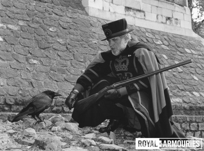 The Tower Ravenmaster shows the new gun to one of the Tower's ravens, 1984 © Royal Armouries