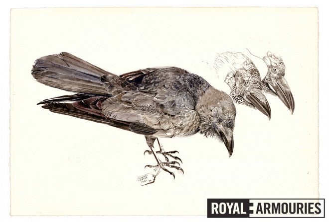 More detailed drawing by Appleby used as reference for the feather engraving on the gun, 1984