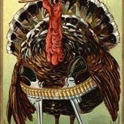 armed turkey