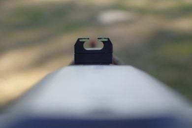 Rear sight picture