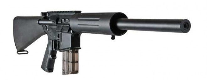 DPMS 22LR Rifle