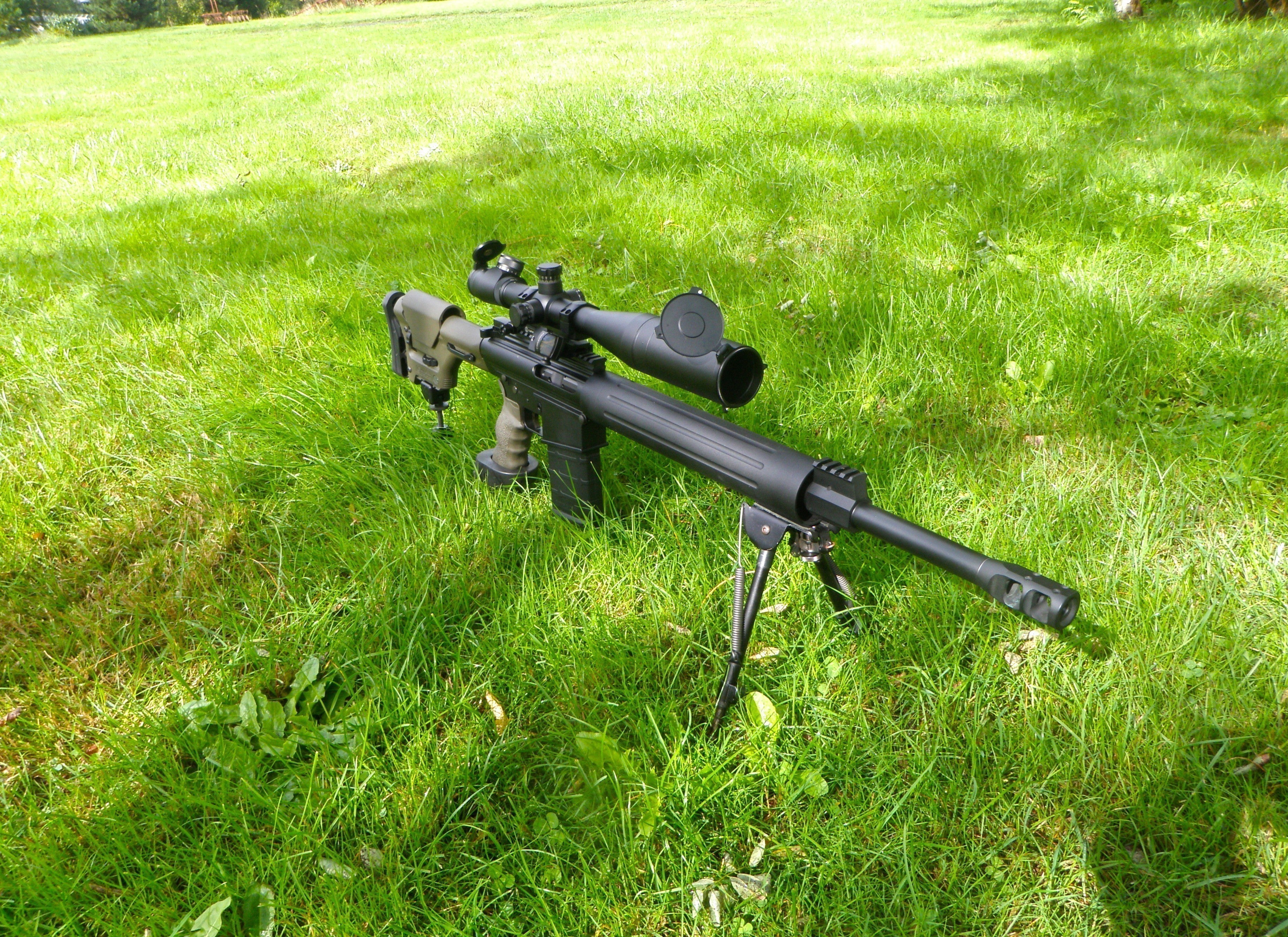 Gun Review: Custom DPMS LR-308.