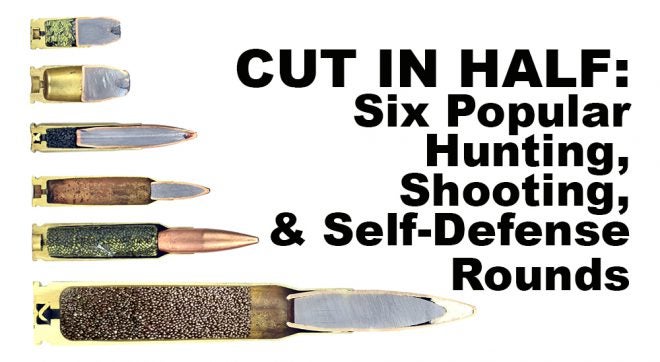 Six Popular Rounds Cut in Half - The Firearm BlogThe 