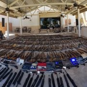LA SD seized guns