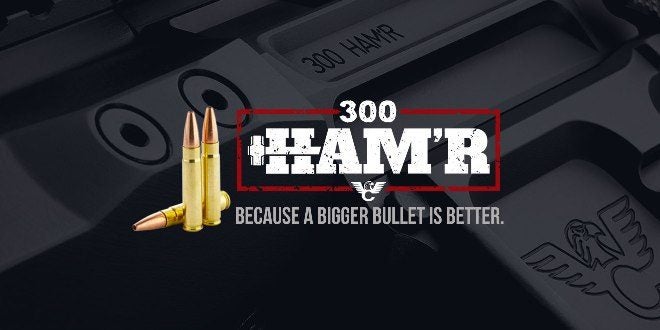 New .300 HAM'R Cartridge by Wilson Combat (3)