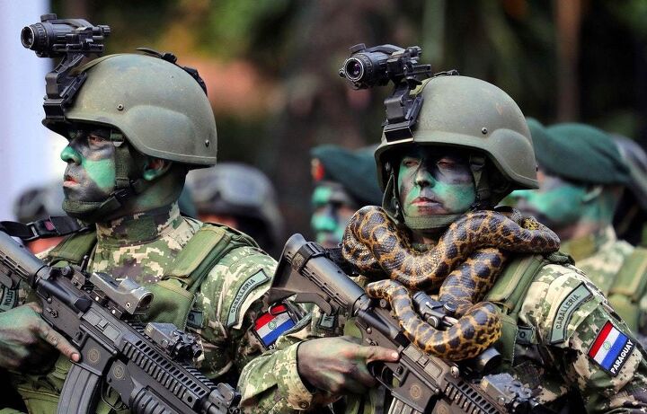 Paraguayan Caballeria special forces snake