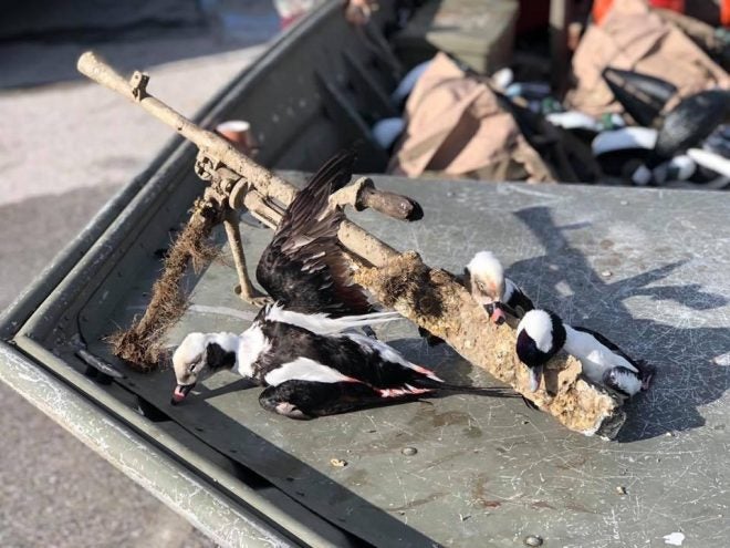 Bren gun discovered during duck hunt