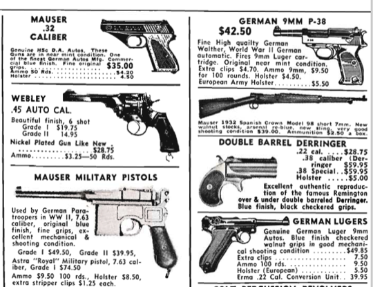 First Firearm: Military Surplus