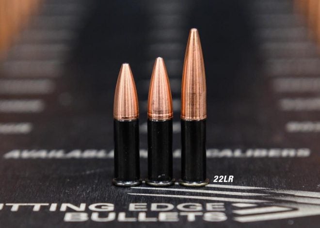 Cutting Edge Bullets 22LR ELR Ammo with Solid Spitzer Bullets (1)