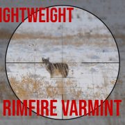 The Rimfire Report: The 5 Best Lightweight Rimfire Varmint Rifles