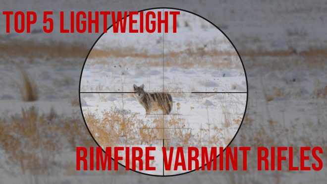 The Rimfire Report: The 5 Best Lightweight Rimfire Varmint Rifles