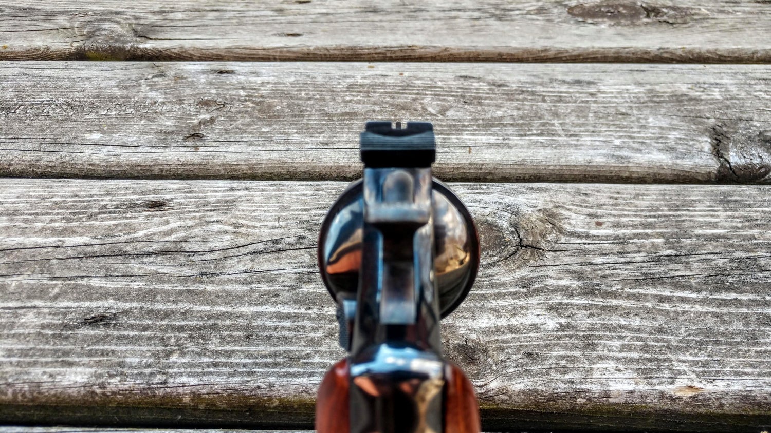 revolver iron sights