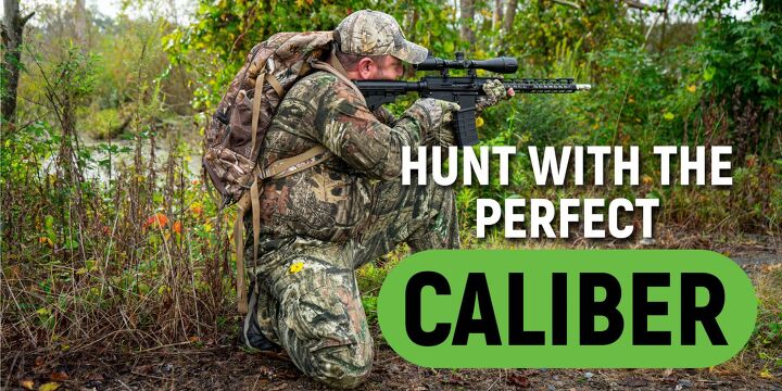 The Perfect Hunting Calibers and their Game by Bear Creek Arsenal