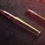 [SHOT 2021] Winchester SILVERTIP Centerfire Rifle and Rimfire Ammunition (1)