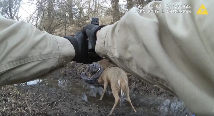 Image Credit: Screengrab from Kansas Dept of wildlife video