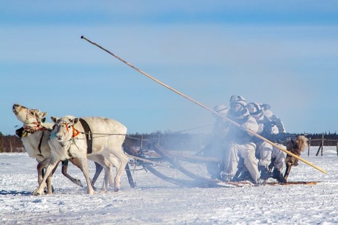 POTD: Russian AKs, Huskies &amp; Reindeer