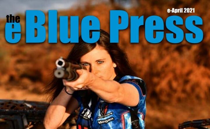Dillon's Blue Press Goes Digital! Introducing the e Blue Press Catalog
