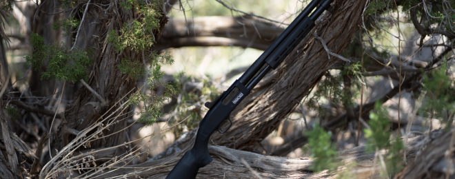 New Mossberg 590s Mini-Shell Compatible Pump Actions