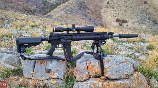 TFB Review: Horus HoVR 5-20x50 with TREMOR 3 Reticle