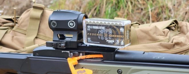 The Rimfire Report: Federal 22LR Punch Out of A 10/22 - More Effective?