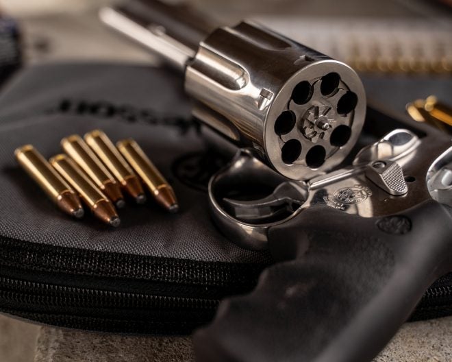 POTD Smith & Wesson Model 350 Revolver (1)
