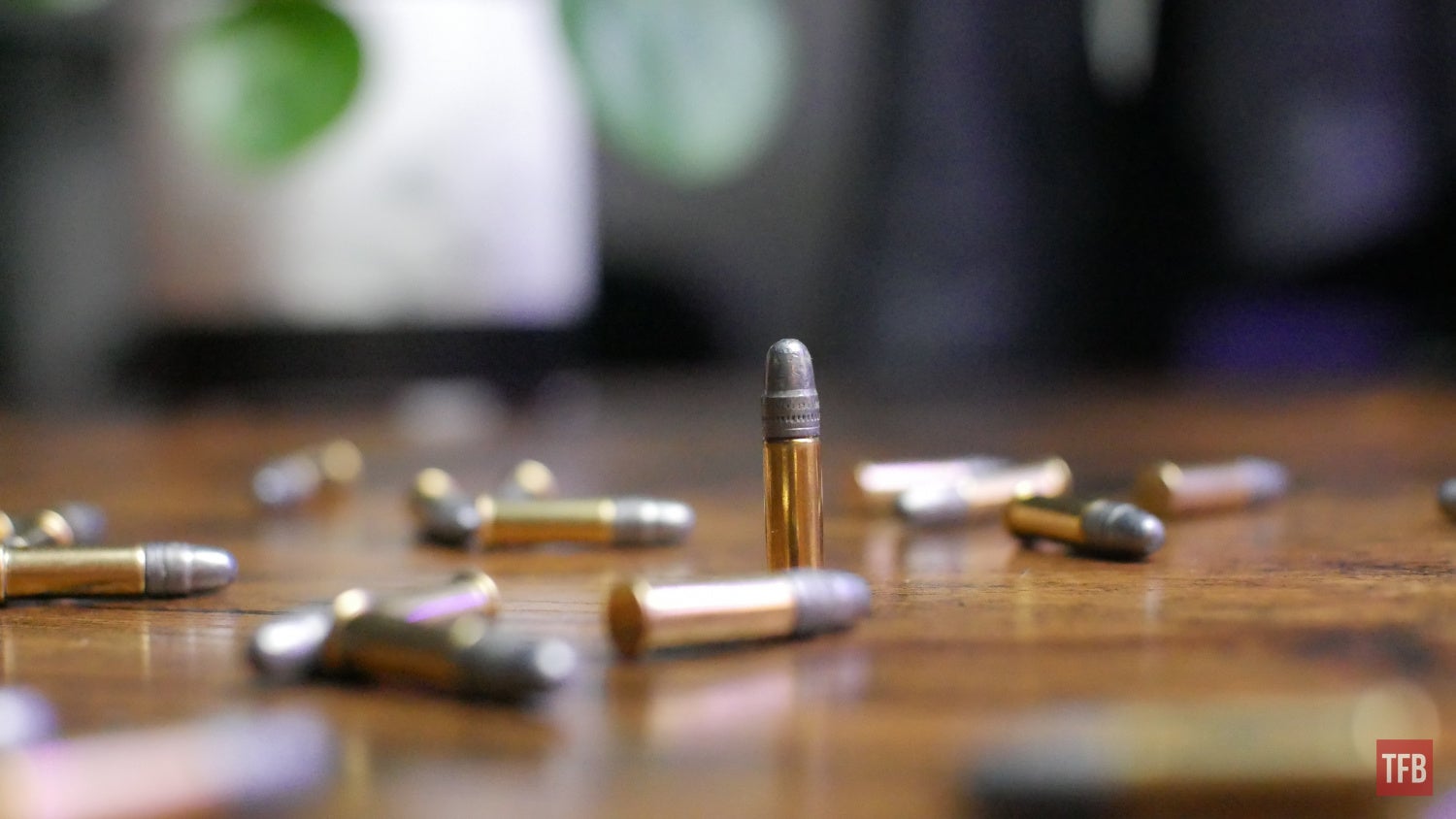 The Rimfire Report: Is Federal Automatch Secretly the Best Bulk Ammo?