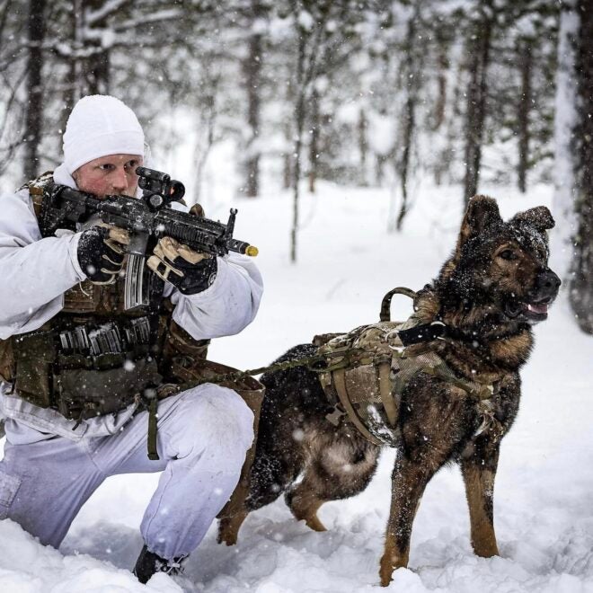 Heckler & Koch HK416N & Norwegian Attack Dog