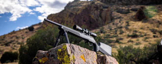 Meet the New Model 2020 Rimfire Rifles from Springfield Armory
