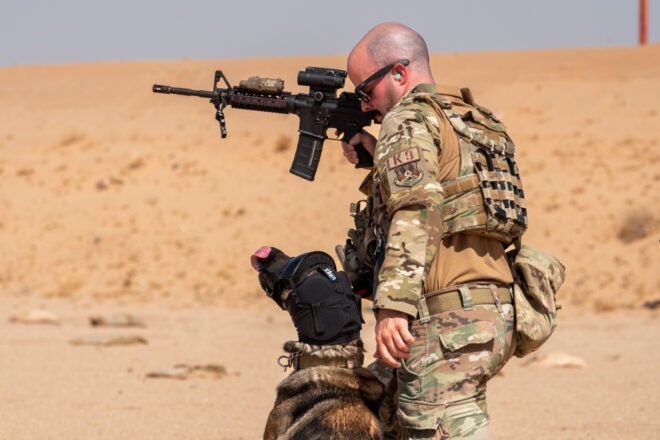 K9 Military Working Dog At Prince Sultan Air Base