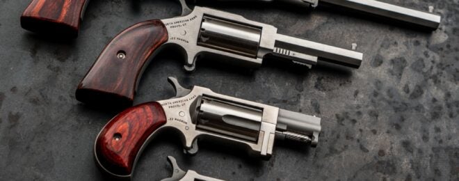POTD North American Arms Mini Revolvers