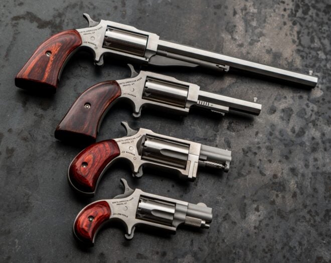 POTD North American Arms Mini Revolvers
