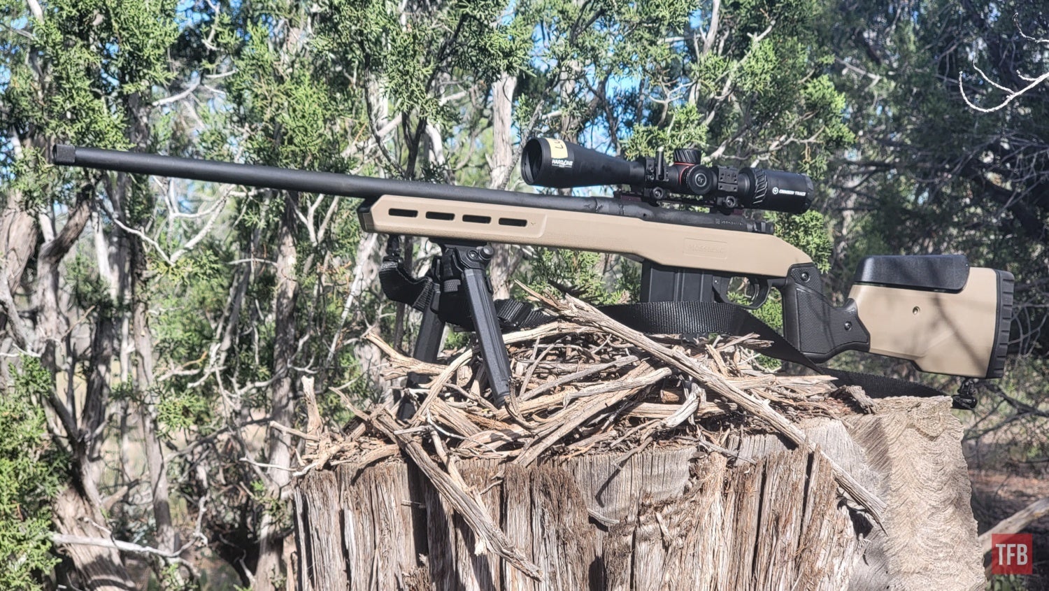 REVIEW: Mossberg's Patriot LRT in 6.5 PRC - Marksman on a Budget?