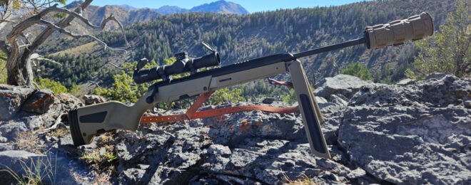 TFB Review: The Steyr Scout 6.5 Creedmor In The Field (Part 3)