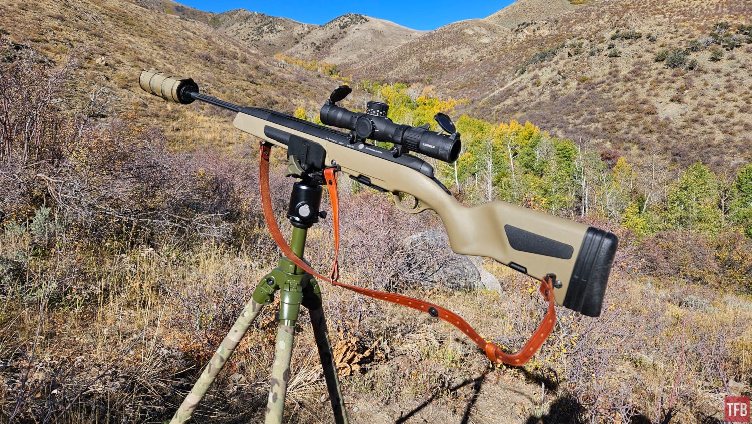 TFB Review: The Steyr Scout 6.5 Creedmor In The Field (Part 3) 