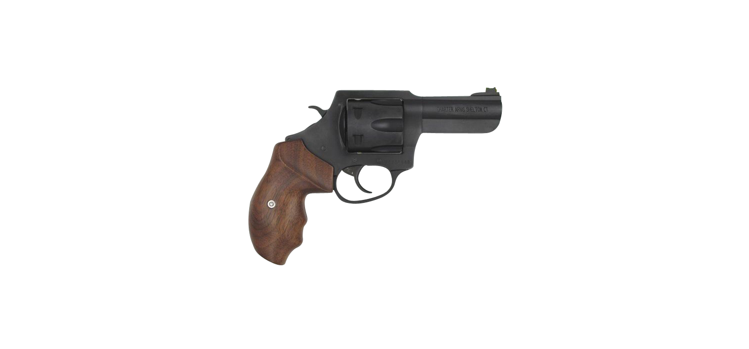 Wheelgun Wednesday: Charter Arms Professional III .357 Magnum 6-Shot